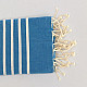 hamam handduk plate  blå-vit-1